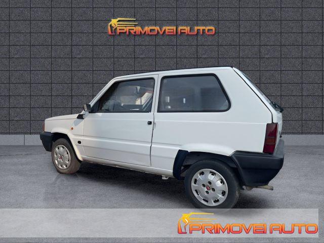 FIAT Panda 1ª serie 1100 i.e. cat Young