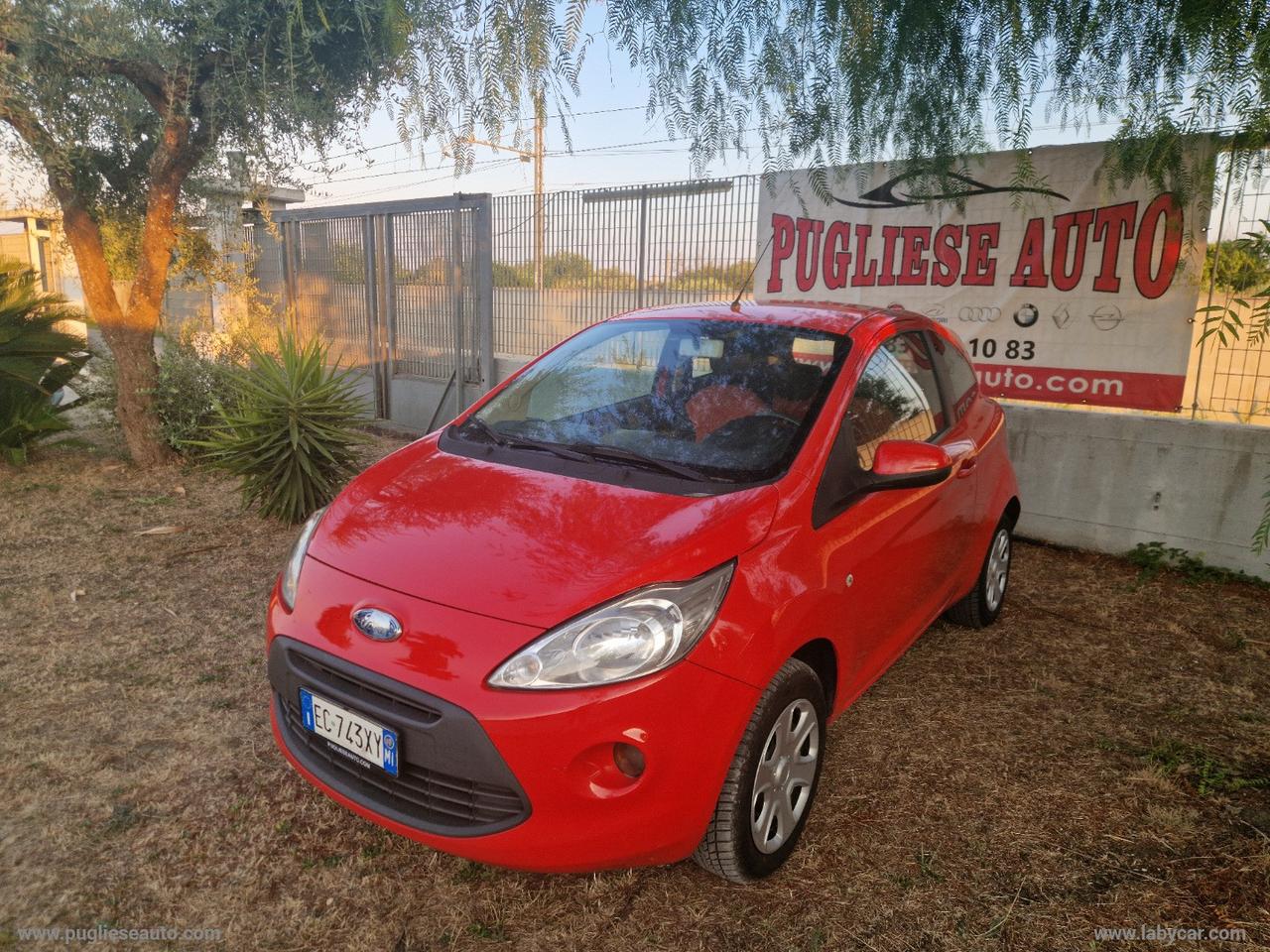 FORD Ka 1.2 8V 69 CV Titanium