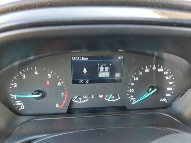 FORD Fiesta 1.0 Ecoboost Hybrid 125 CV 5 porte Active
