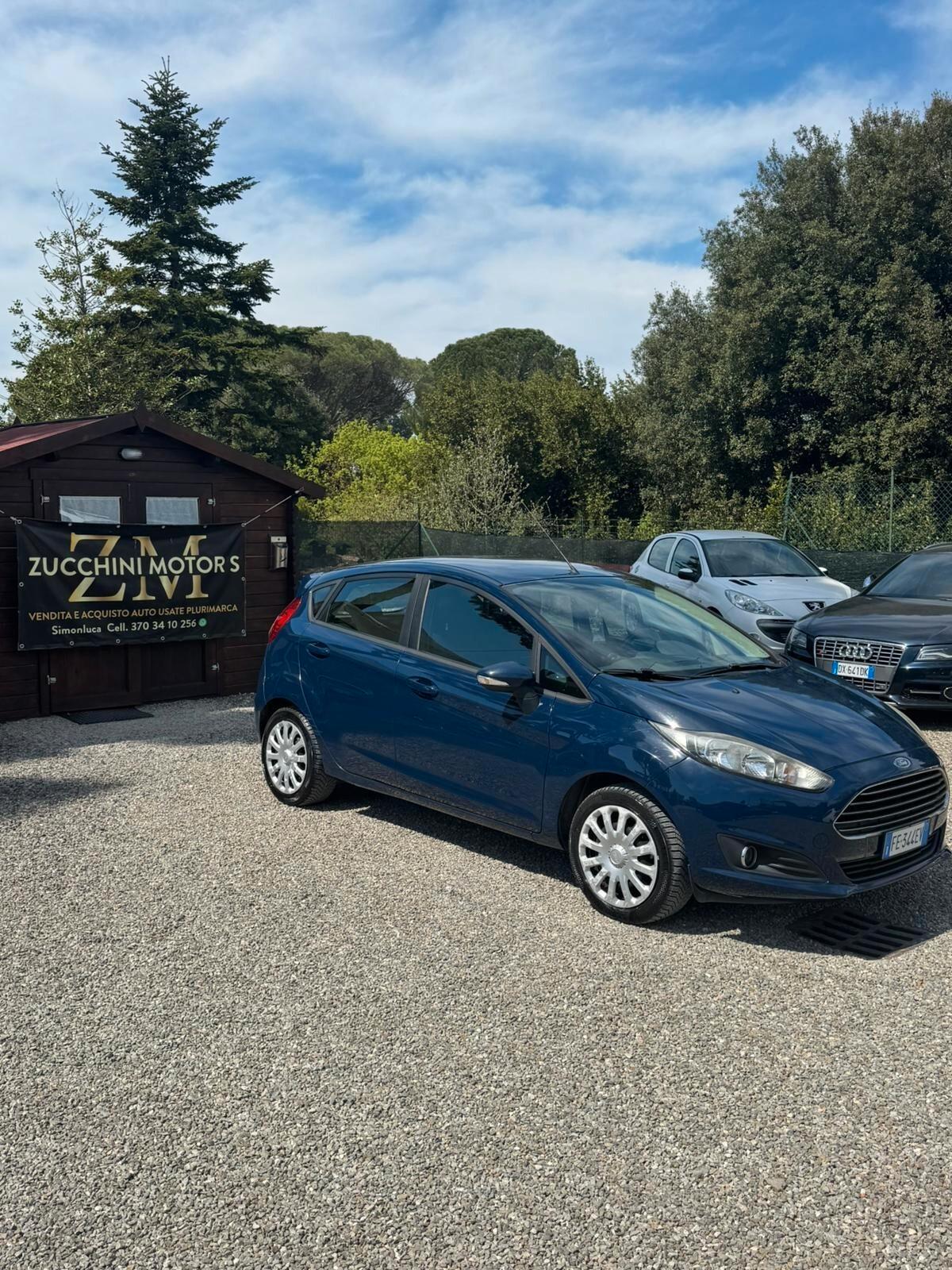 Ford Fiesta 1.5 TDCi 75CV 5 porte Black & White Edition EURO 6B