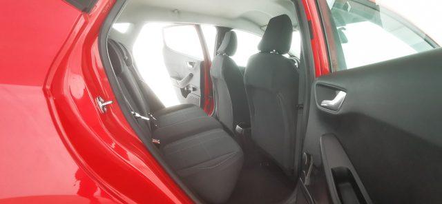 FORD Fiesta 1.5 EcoBlue 5 porte Plus