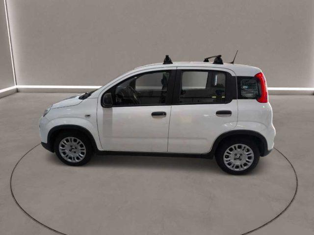 FIAT Panda 3ª serie - 1.0 FireFly S&S Hybrid