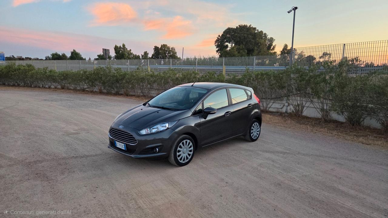 Ford Fiesta 1.2 60CV 5 porte Black & White Edition