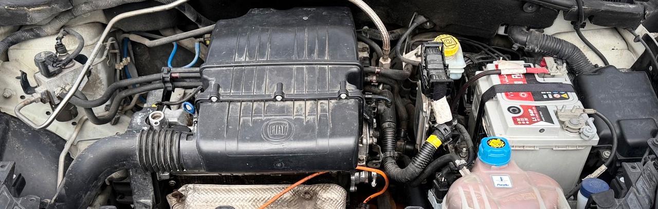 Fiat Punto 1.4 Natural Power 77 Cv