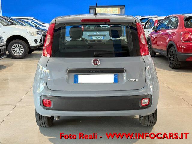 FIAT Panda Hybrid 1.0 FireFly 70 cv - PROMO