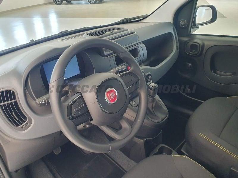 FIAT Panda Panda 1.0 70cv Hybrid Panda