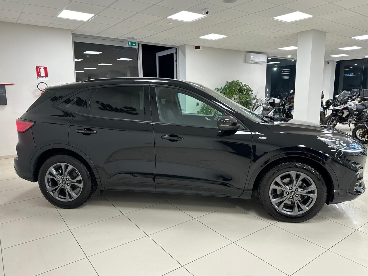 Ford Kuga 1.5 EcoBlue 120 CV aut. 2WD ST-Line 2022