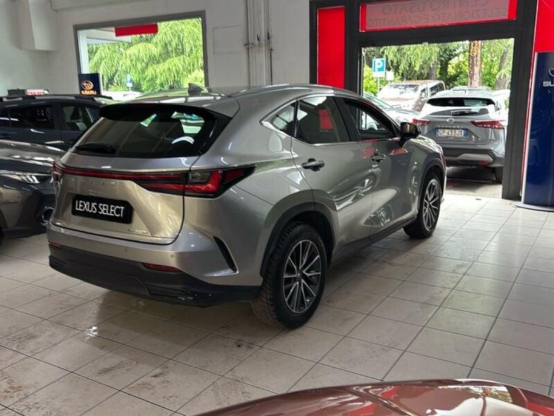 Lexus NX Hybrid Business 2WD