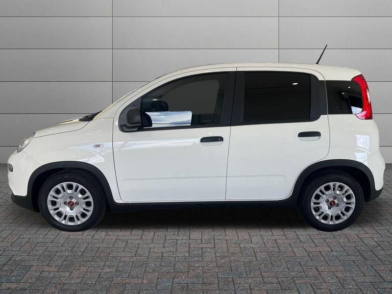 FIAT Panda Panda 1.0 firefly hybrid s&s 70cv