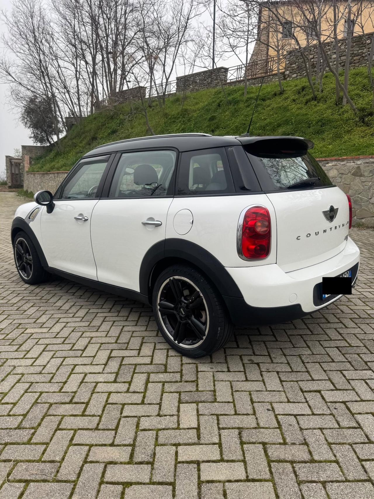 Mini Countryman 1.6 Diesel 110Cv 2010