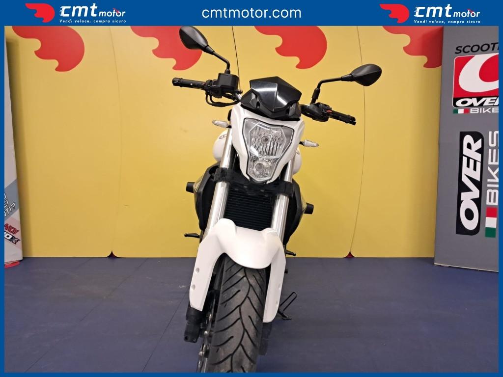 Benelli BN 302 - 2019