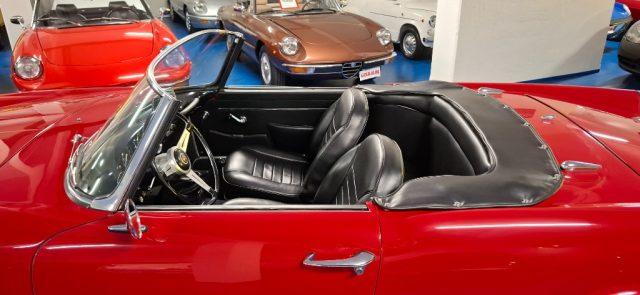 ALFA ROMEO Spider TOURING*ITALIANA DA SEMPRE - TARGHE MODENA