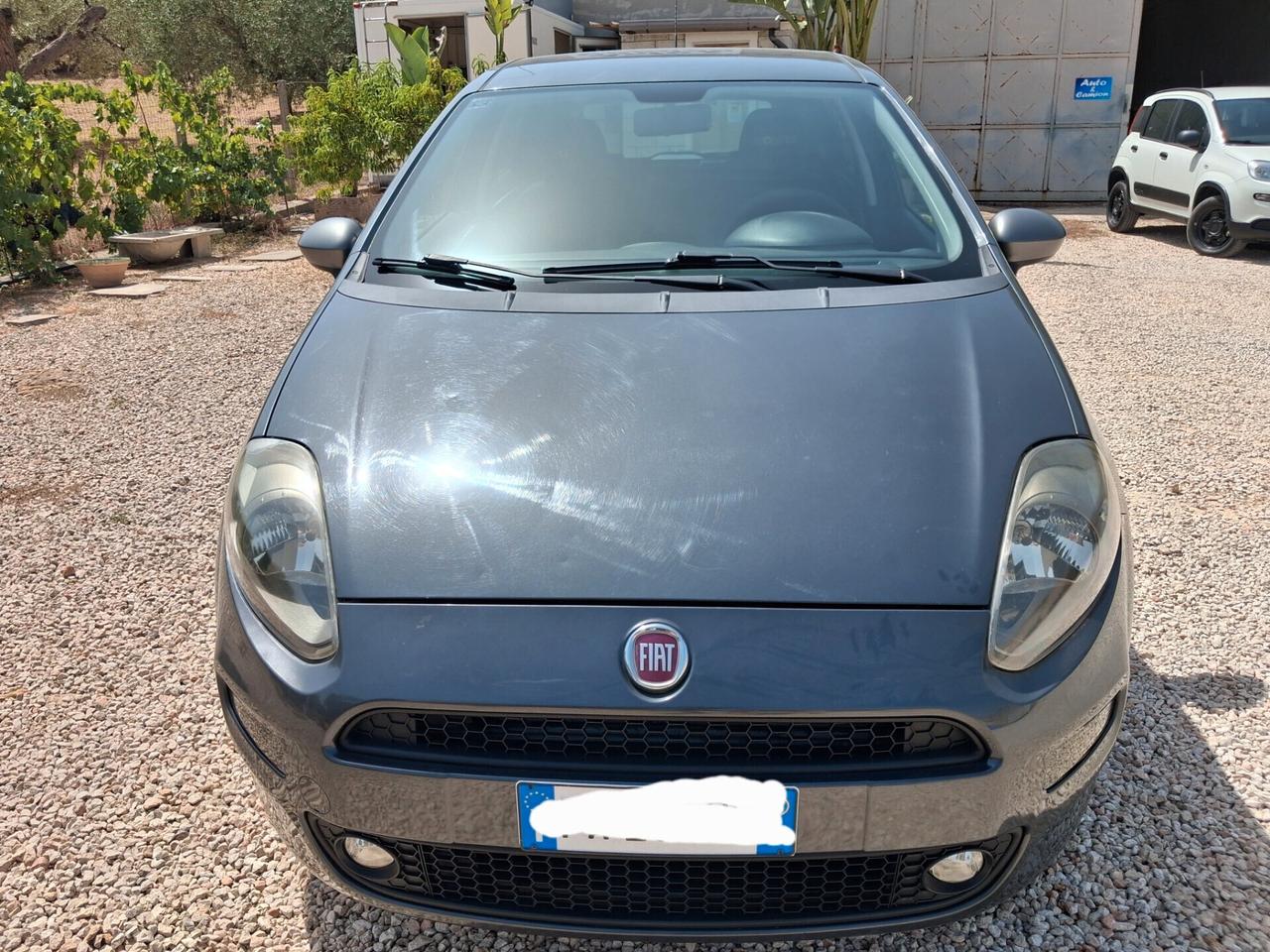 Fiat Punto 1.2 8V 5 porte young DA RIVEDERE MOTORE