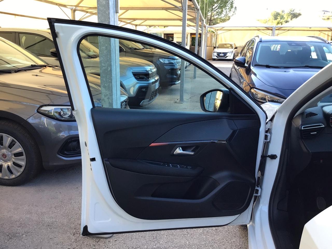 Peugeot 208 BlueHDi 100 Cv 5 porte Active