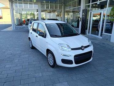 Fiat Panda Hybrid 1.0 FireFly 69cv ICON AZIENDALE