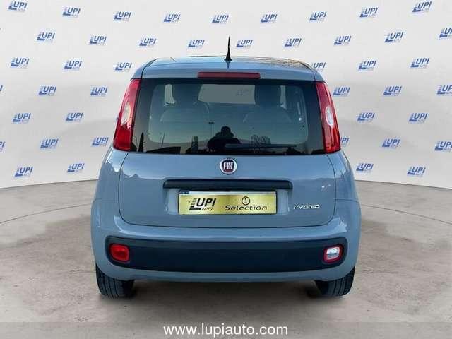 Fiat Panda 1.0 firefly hybrid City Life s&s 70cv 5p.ti