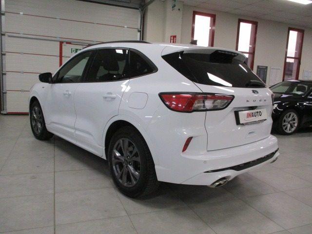 FORD Kuga 1.5 EcoBlue 120 CV aut. 2WD ST-Line