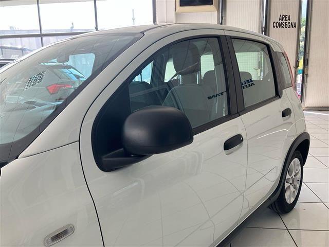 FIAT Panda 1.0 FireFly Hybrid 70cv City Life S&S 5p.ti