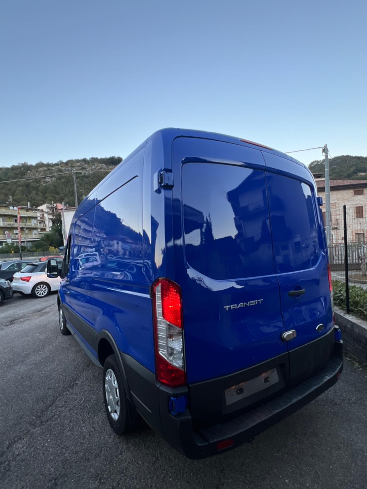 Ford Transit 290 2.0TDCi EcoBlue PM-TM Furgone