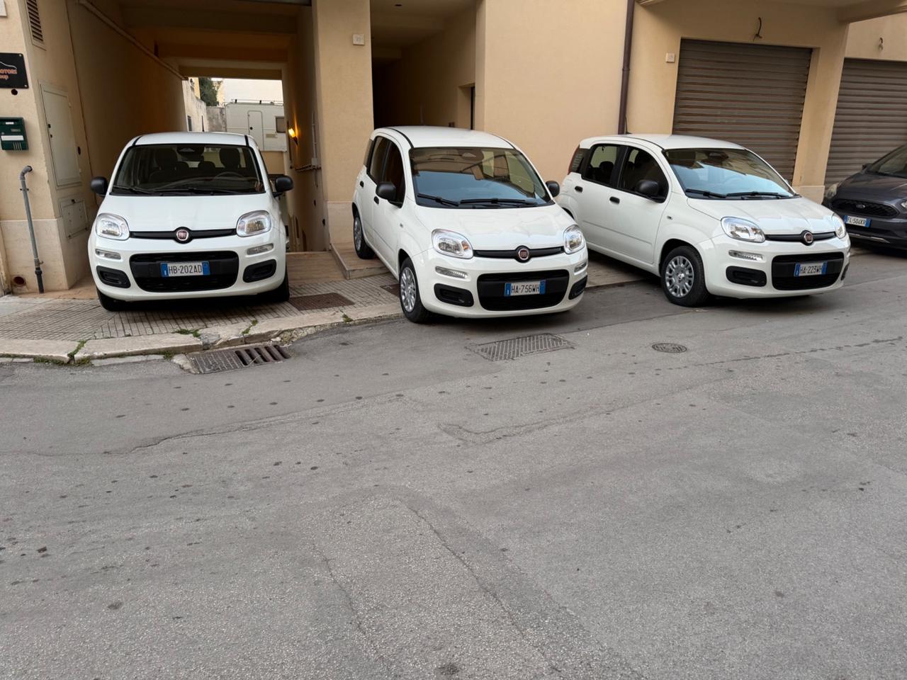 Fiat Panda 1.0 FireFly S&S Hybrid Pandina NOLEGGIO GIORNALIERO