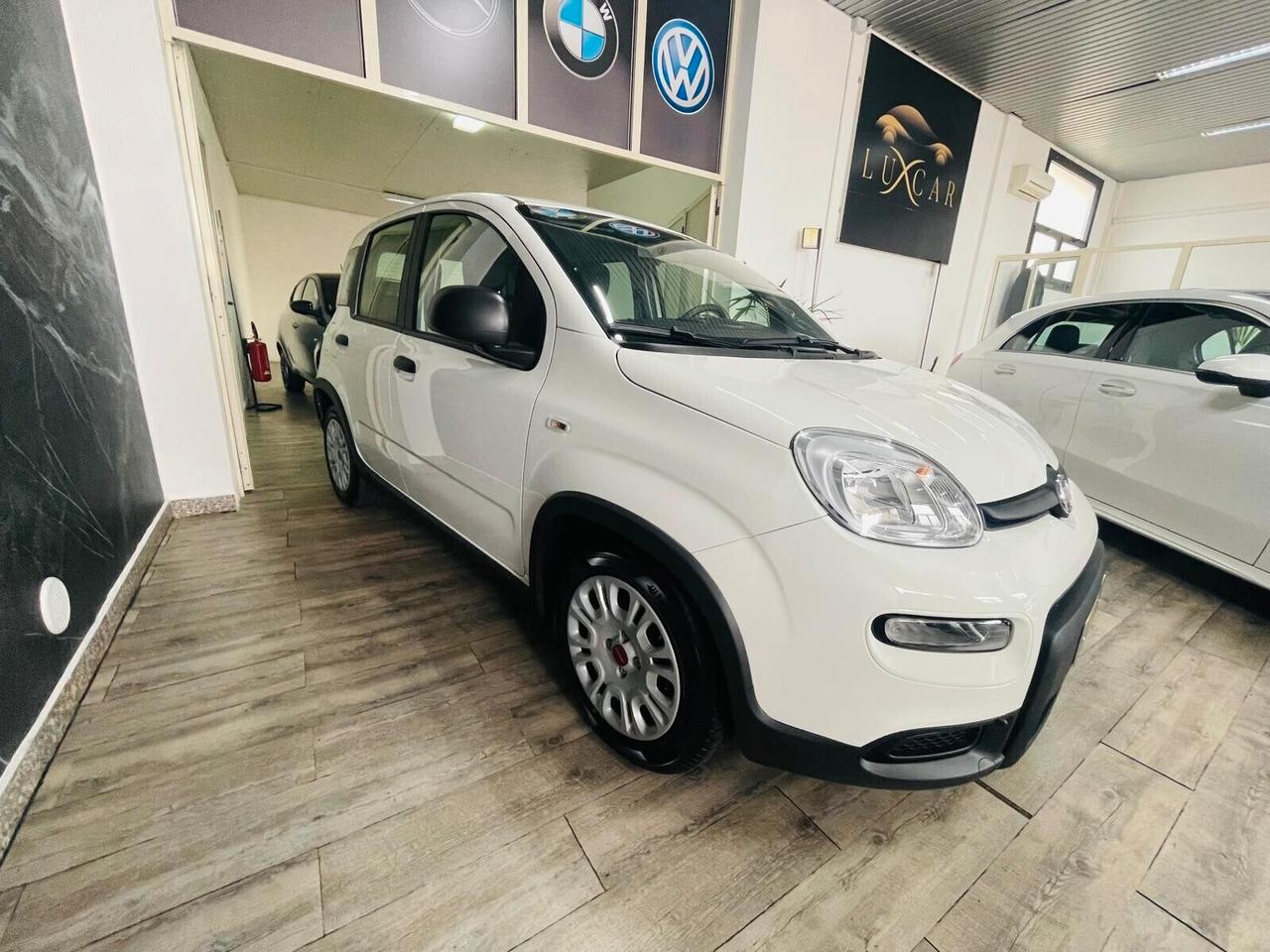 Fiat Panda 1.0 FireFly S&S Hybrid AZIENDALE 5 POSTI KM 1.633
