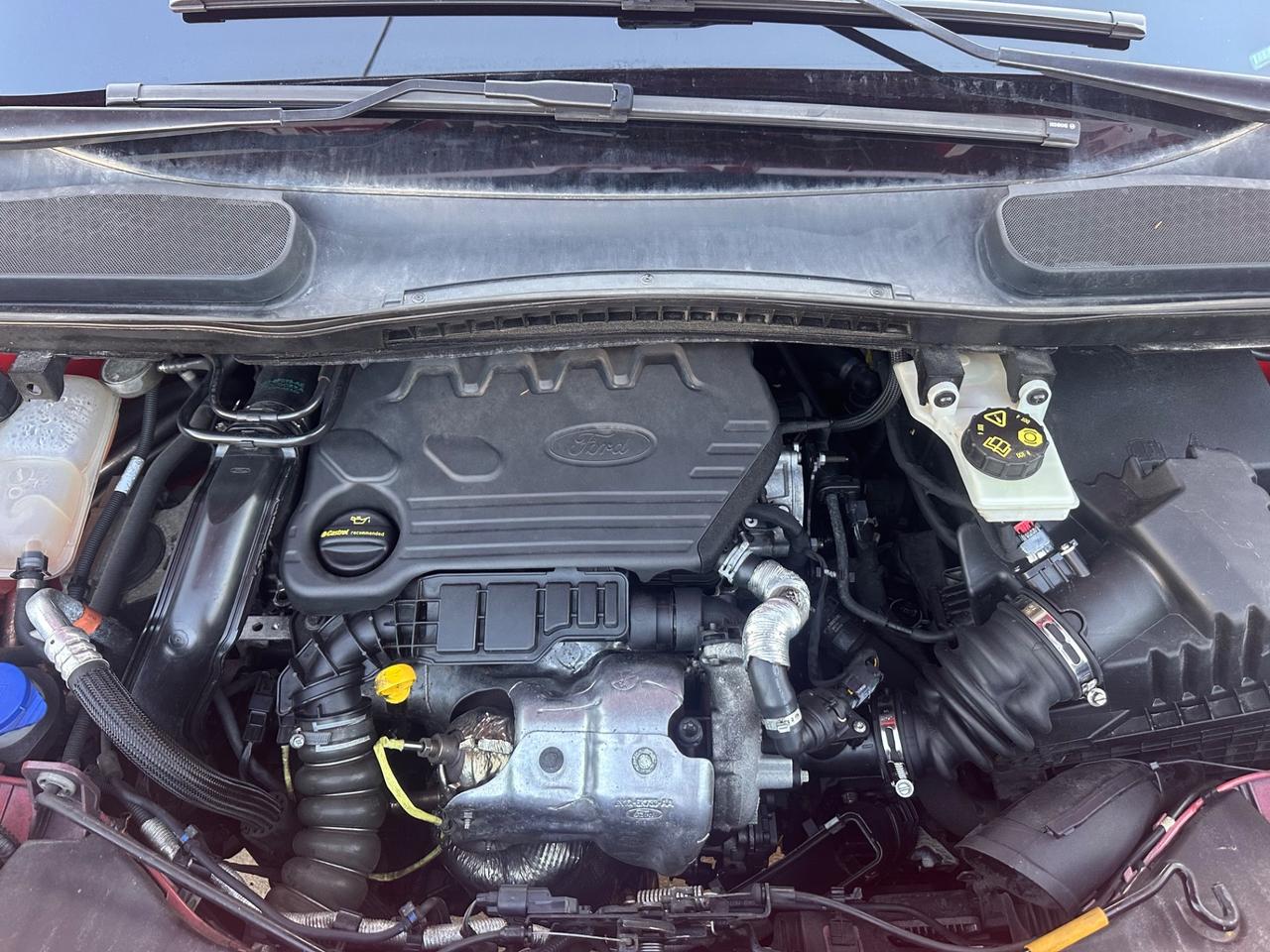 Ford Transit CONNECT 1.5 TdCi 120cv 2019