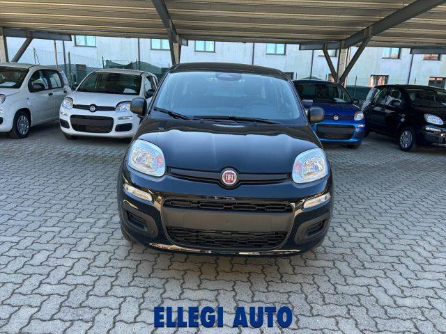 FIAT Panda PROMO FINANZ 1.0 HYBRID +PACK ICON KM 0