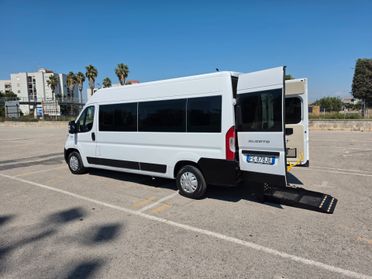 9 Posti Trasporto Disabili Fiat Ducato Maxi