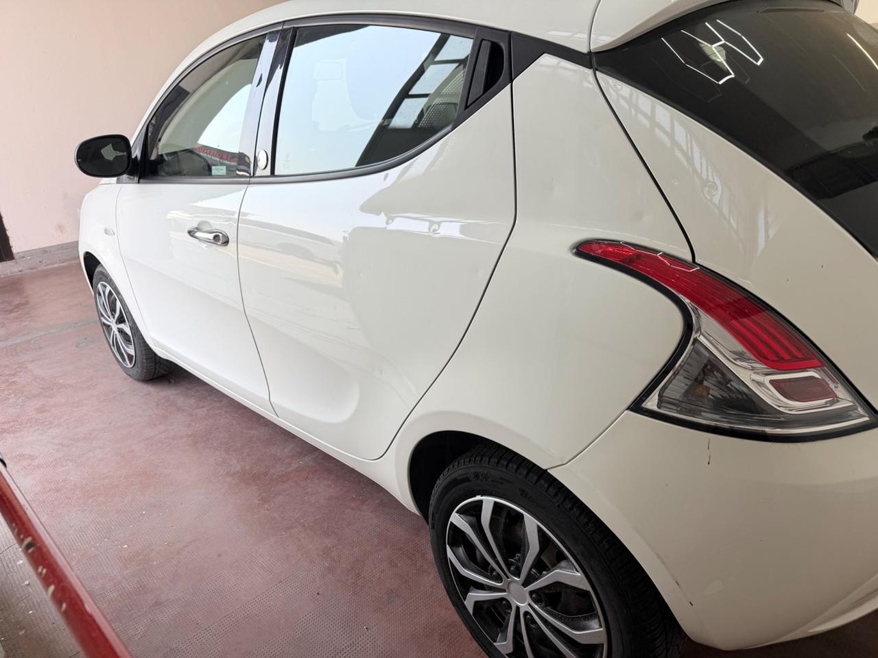 Lancia Ypsilon 1.2 69 CV 5 porte GPL Ecochic Silver