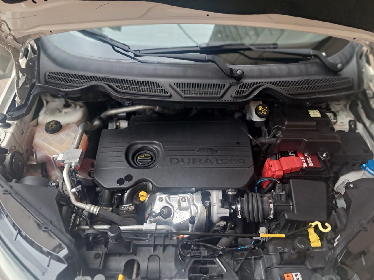 FORD EcoSport 1.5 TDCi 95 CV Plus-2016-Euro9800