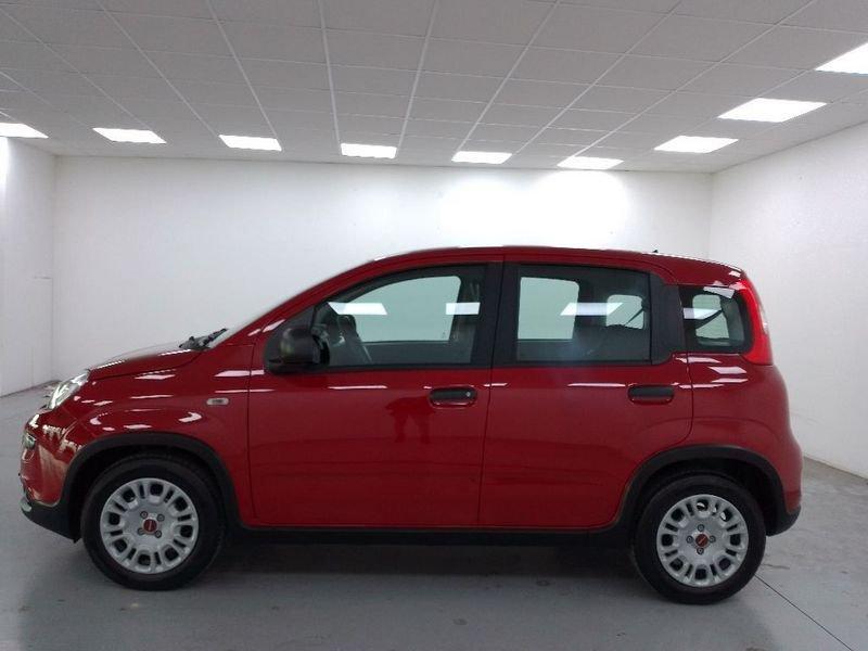 FIAT Panda 1.0 firefly hybrid s&s 70cv