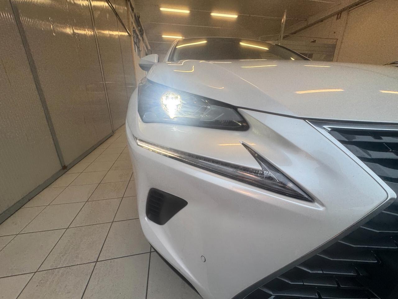 Lexus NX 300h hybrid 2.5 Business 2wd cvt