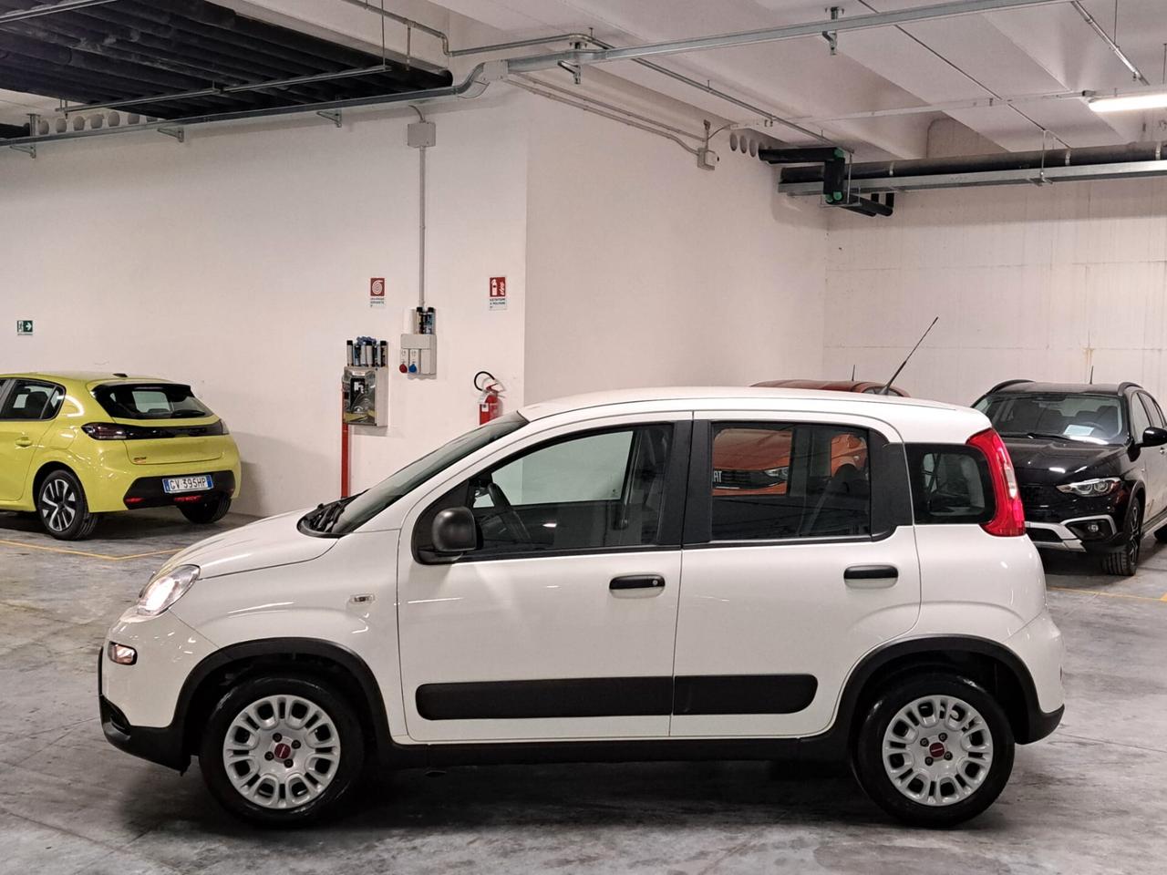 Fiat Panda 1.0 FireFly Hybrid Street N1 Autocarro 4 Posti