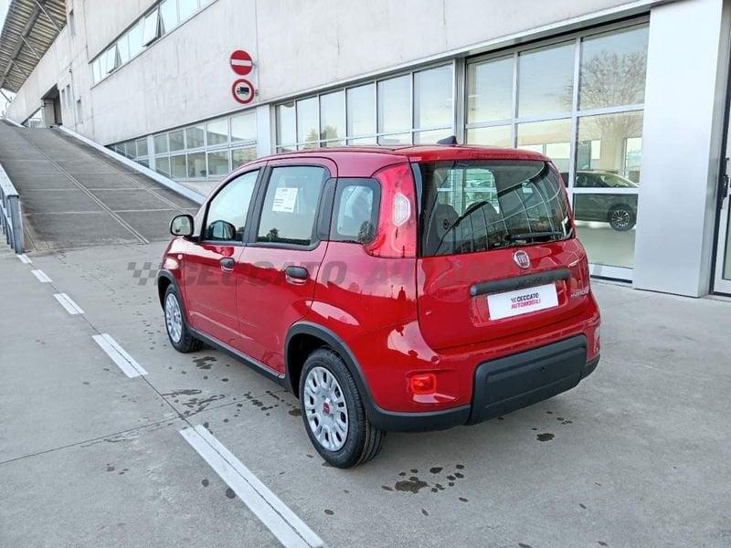 FIAT Panda My24 1.0 Hybrid 70cv