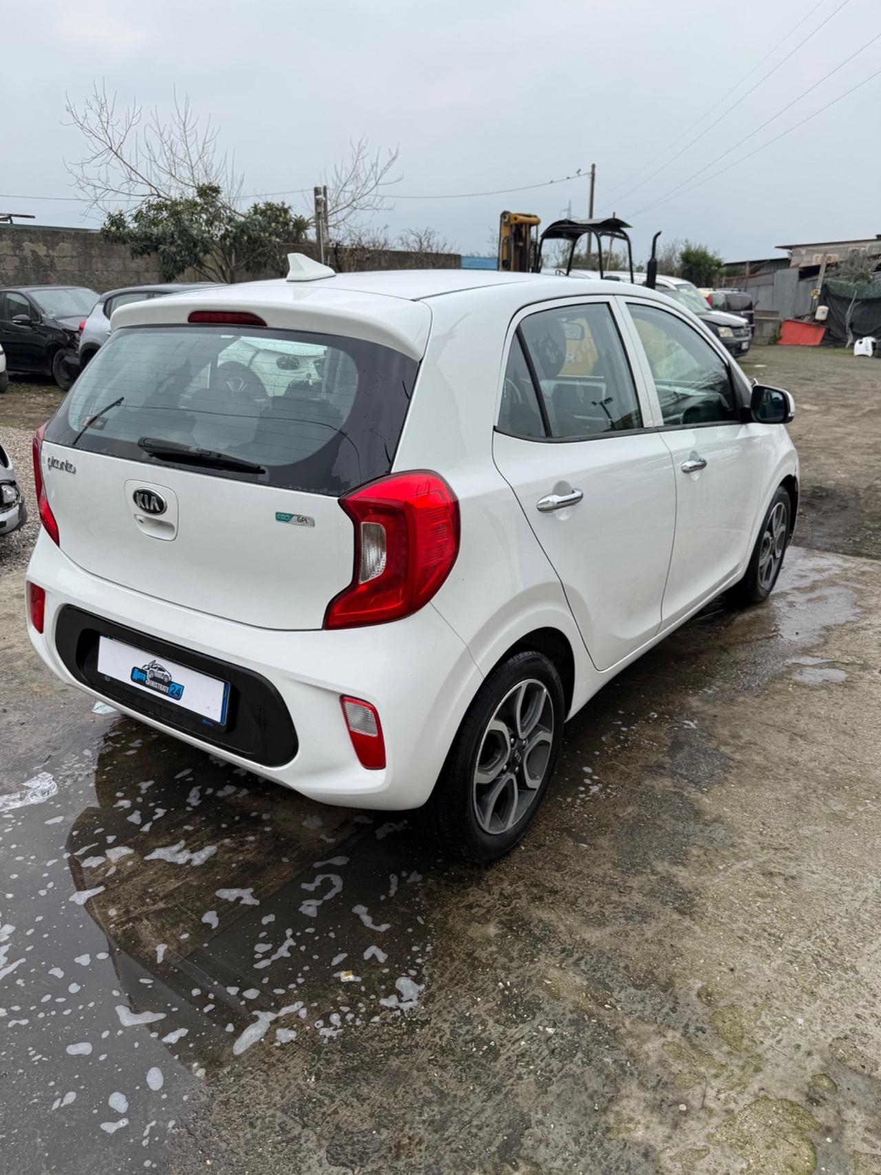 Kia Picanto 1.0 12V EcoGPL 5 porte Cool