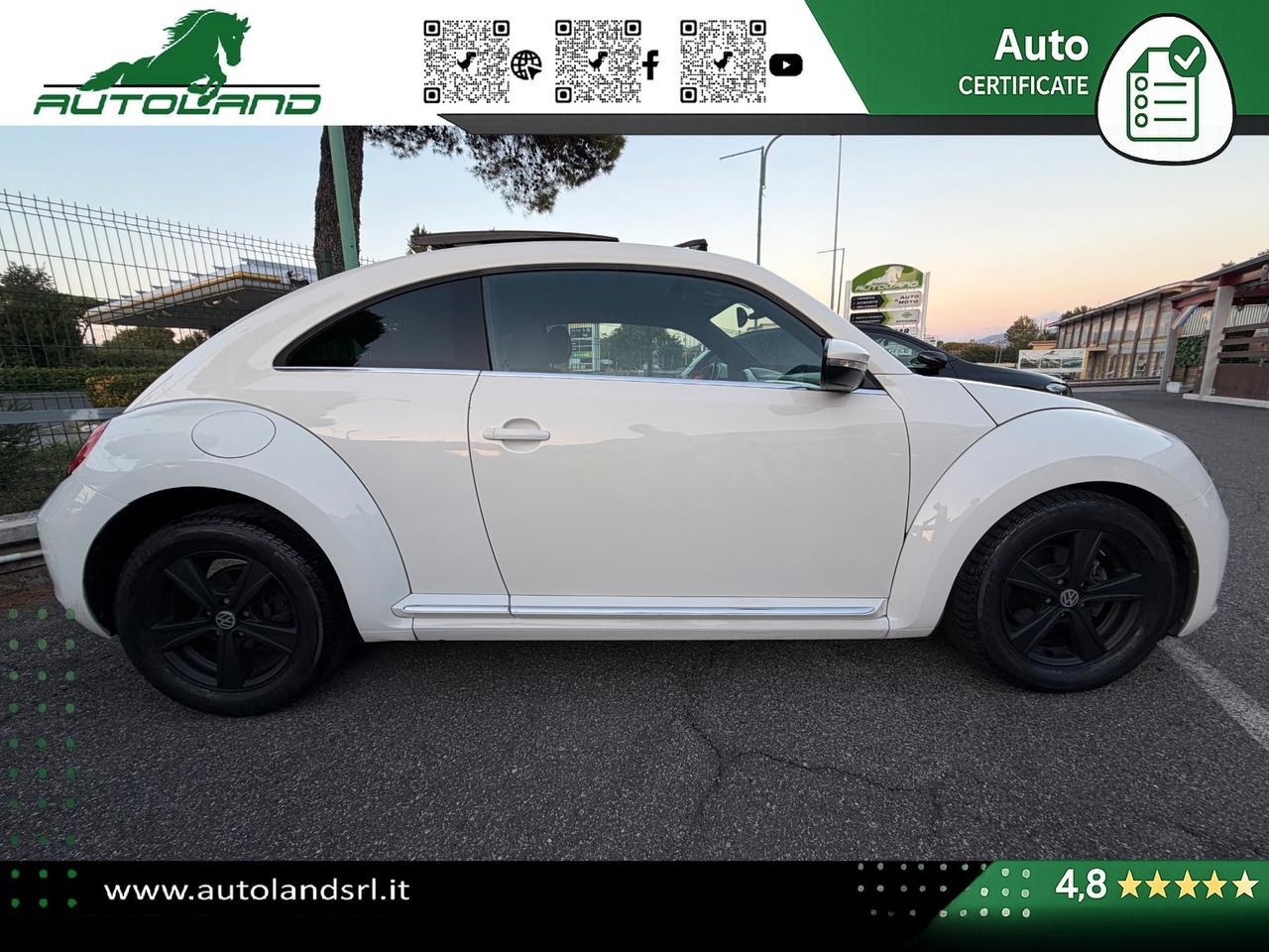 Volkswagen Maggiolino 1.6 tdi Design 105cv dsg