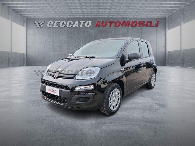 FIAT Panda Panda 1.0 firefly hybrid s&s 70cv