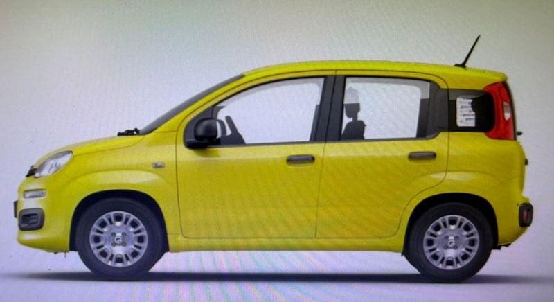FIAT Panda 1.0 FireFly 70cv S&S Hybrid Pop
