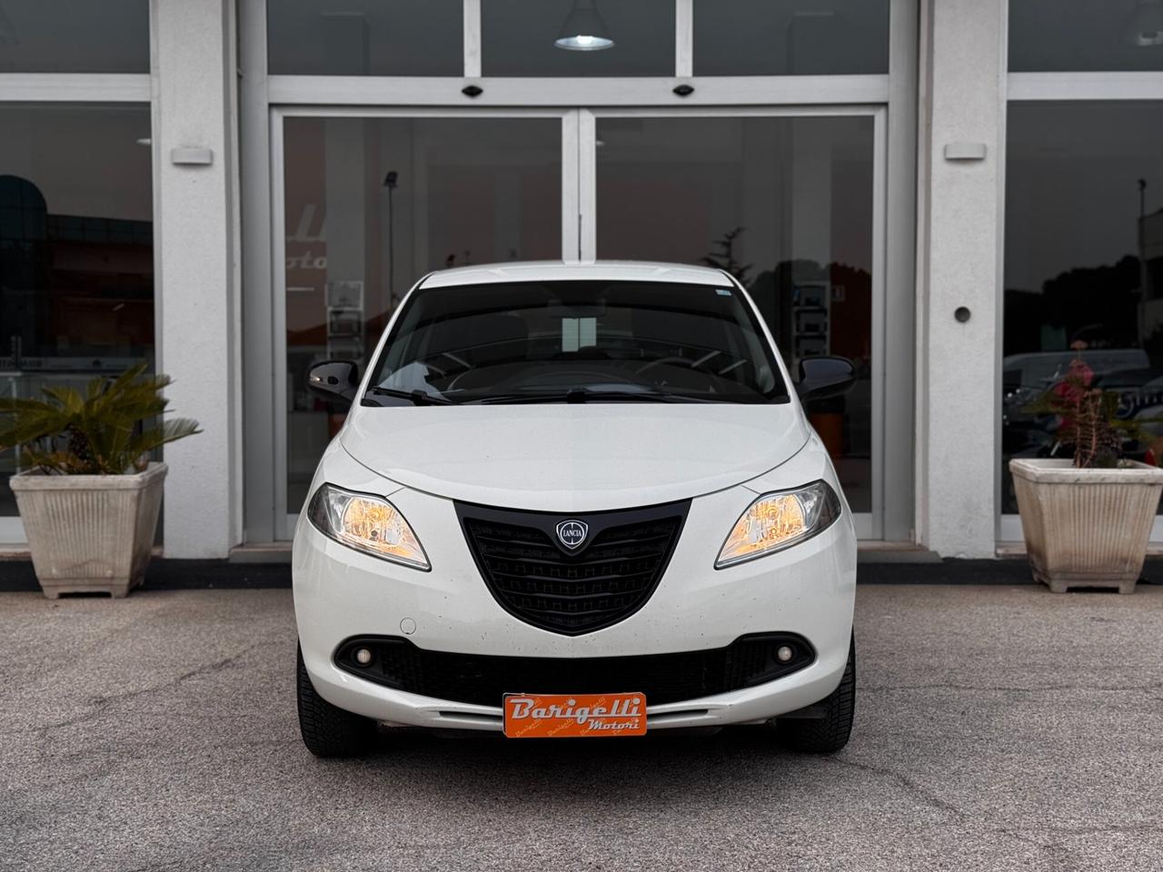Lancia Ypsilon 0.9 TwinAir 85 CV 5 porte Metano Ecochic Elefantino