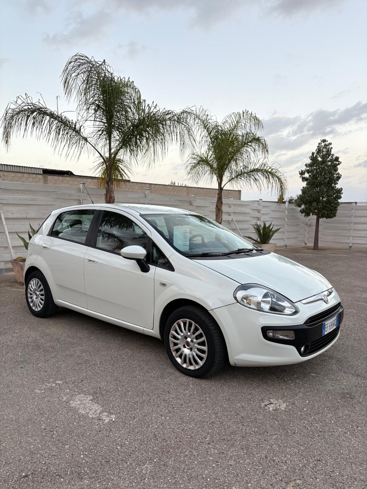 Fiat Punto Evo 1.3 Mjt tagliando eseguito 5 porte in eccellenti condizioni