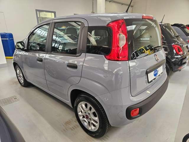 Fiat Panda Panda 1.0 hybrid Easy 70cv