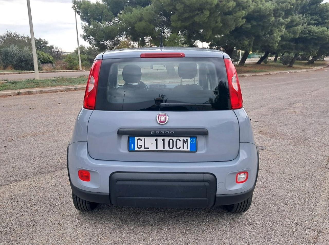Fiat Panda 1.0 FireFly S&S Hybrid (Iva Esposta)