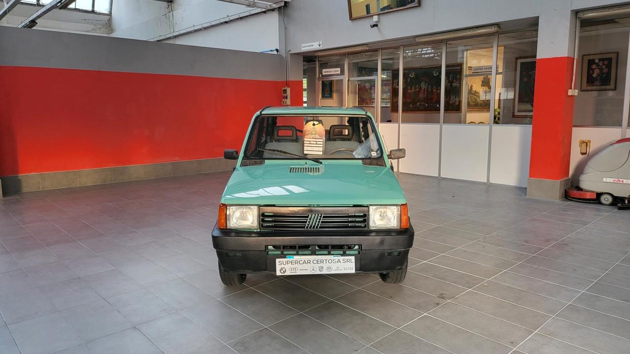 Fiat Panda 900 i.e. cat Young