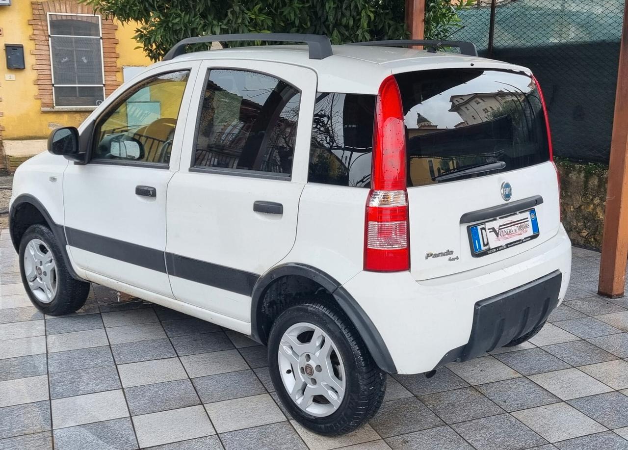 Fiat Panda 1.3 MJT 16V 4x4 Climbing disp 3 veicoli panda 4x4 2007 2006 e panda 1 serie