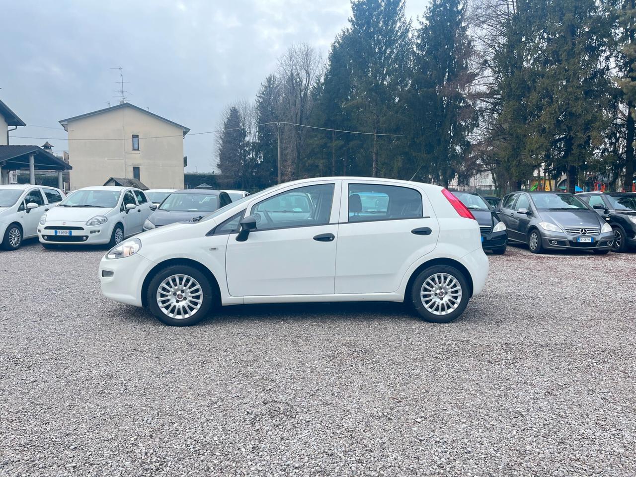 Fiat Punto 1.3 MJT II S&S 95 CV 5 porte Street