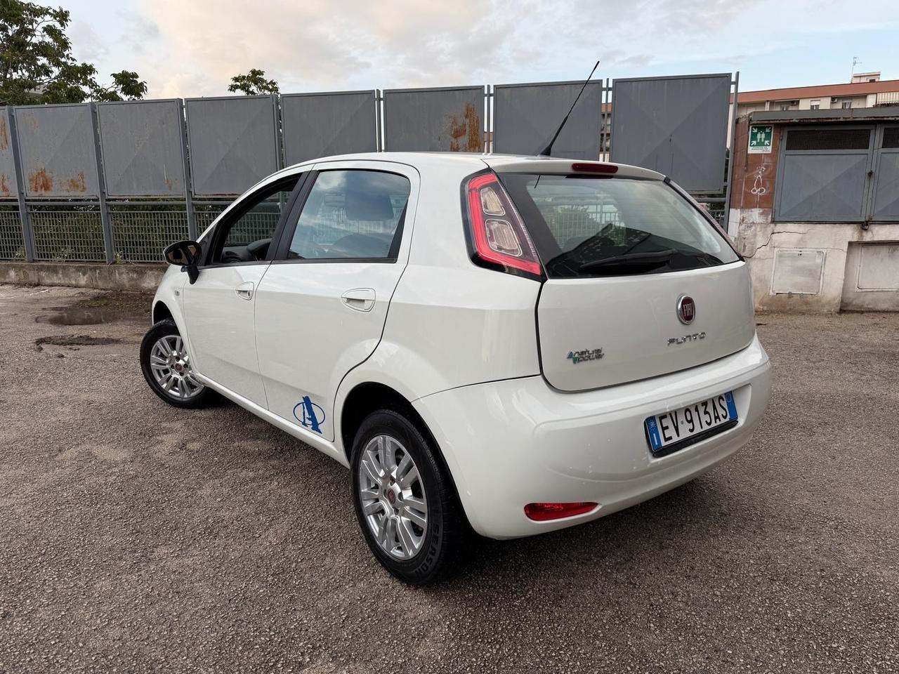 Fiat Punto 1.4 8V 5 porte Natural Power Lounge 2015