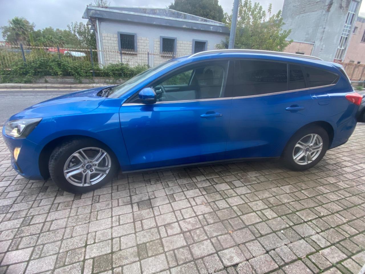 Ford Focus 1.5 EcoBlue 120 CV automatico SW Business Co-Pilot