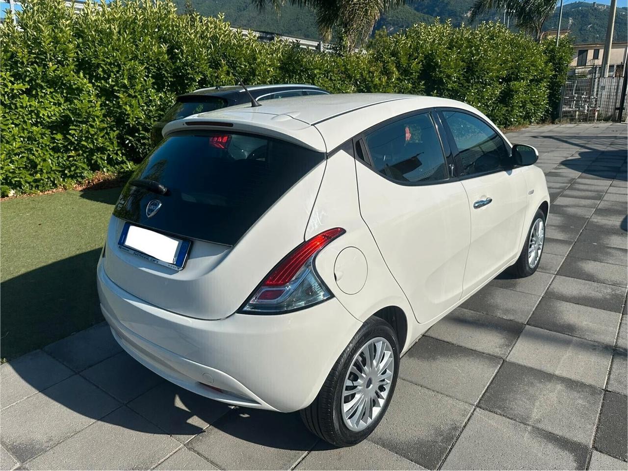 Lancia Ypsilon 1.3 MJT 16V 95 CV 5 porte S&S Gold 2017