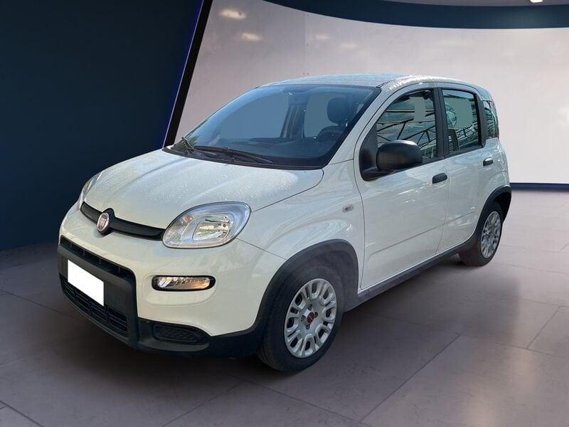 FIAT Panda My23 1.0 70cv Hybrid Panda