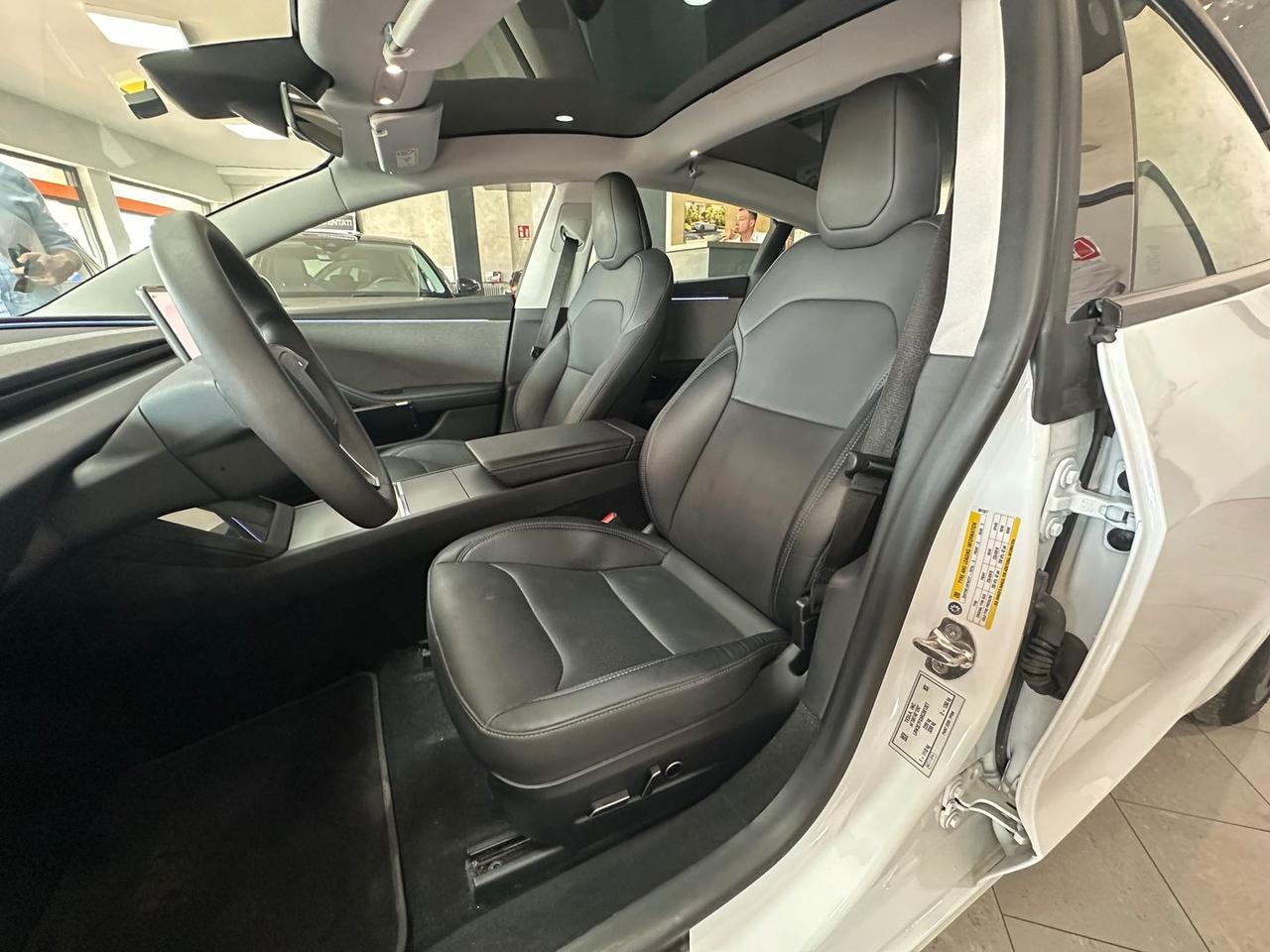 Tesla Model 3 Premium Standard Range Plus 55 kWh #6112